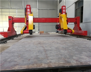 Dual-head Flat Polishing Machine
